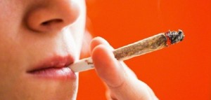 Używanie Marihuany Przez Nastolatków Nie Jest Związane z Problemami Zdrowotnymi w Życiu Dorosłym, jamaica.com.pl