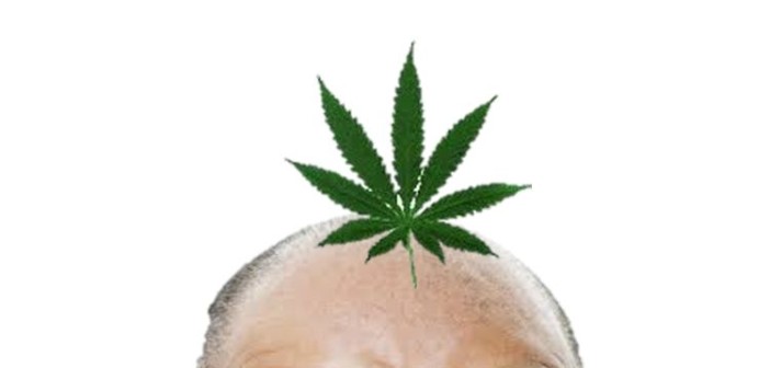 Czy Obecność THC we Włosach Dowodzi Używania Marihuany?, jamaica.com.pl