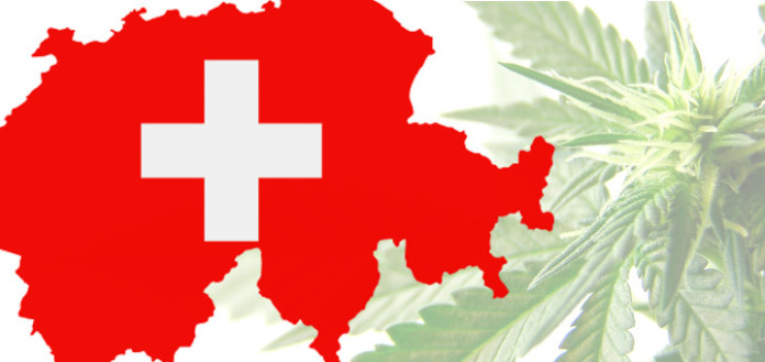szwajcaria-marihuana-6956