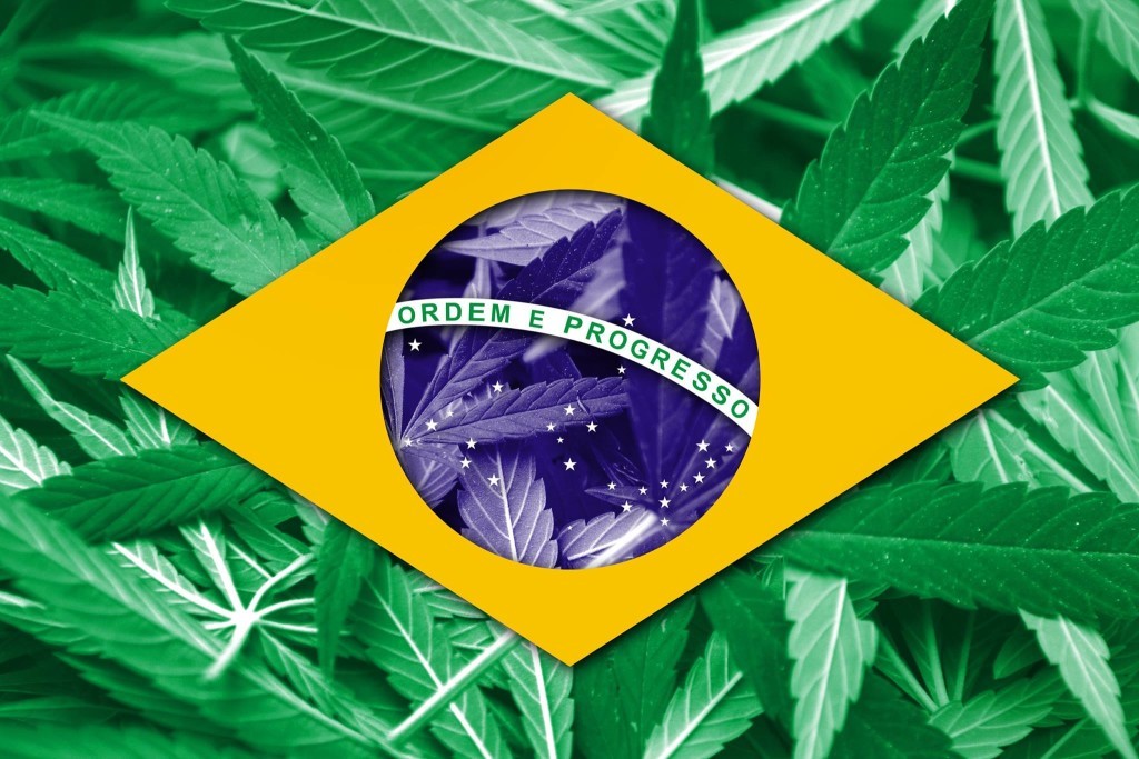 BrazilFlag-over-Cannabis-Leaves-1055