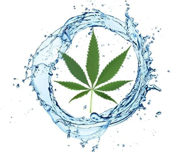 woda-deszczowa-przy-uprawie-cannabisu-1