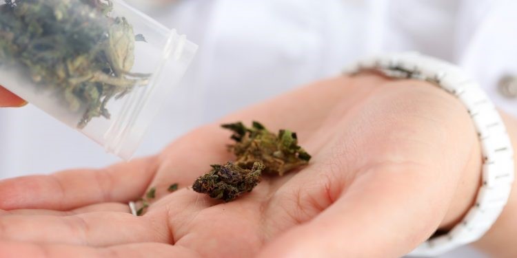 Czy Medyczna Marihuana w Szwajcarii Będzie Łatwiej Dostępna?, jamaica.com.pl